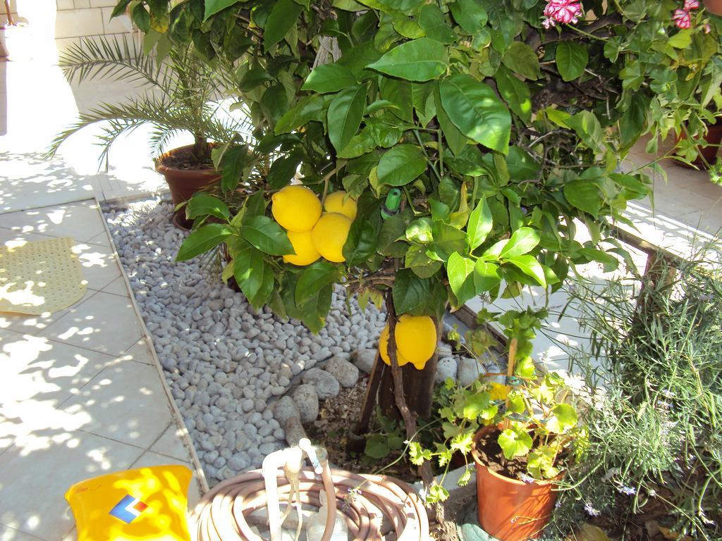 Apartment Lemon Dubrovnik Extérieur photo